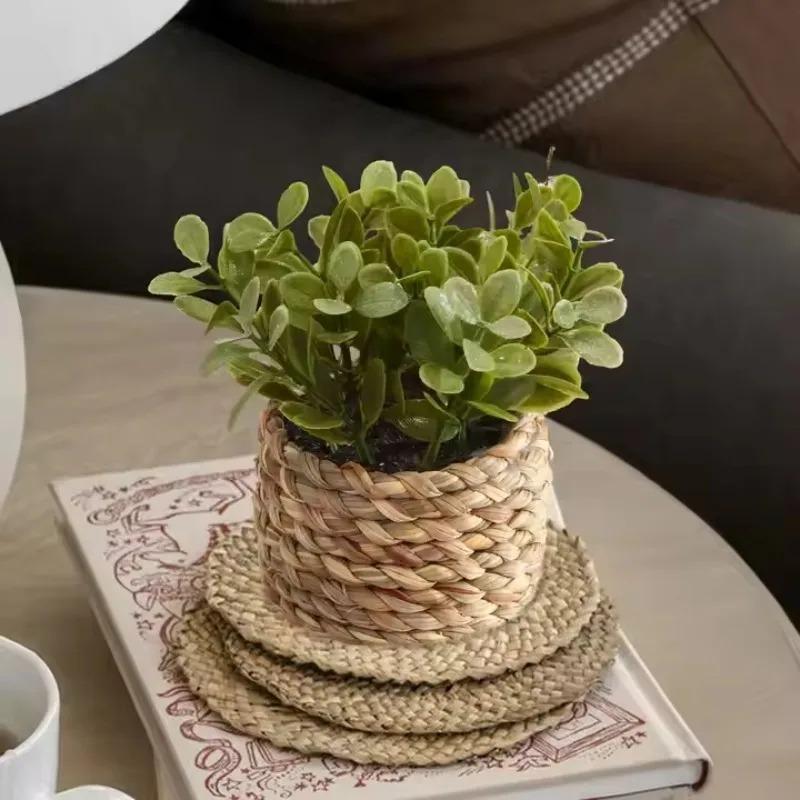 1 pezzo di piante in vaso picc - Home Office Layout recensione e prezzo